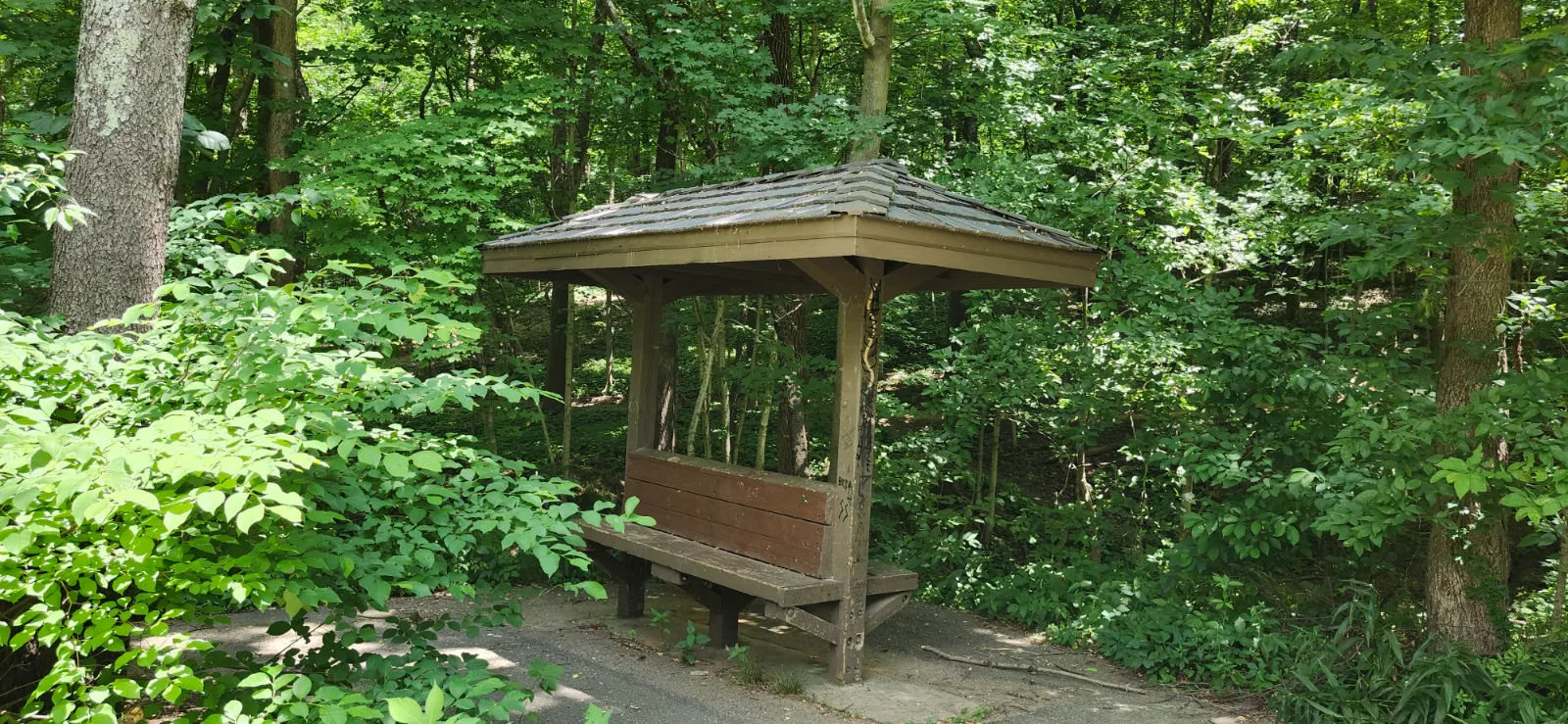 Cherokee Park Louisville